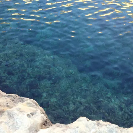 Figoli * أوريستانو
