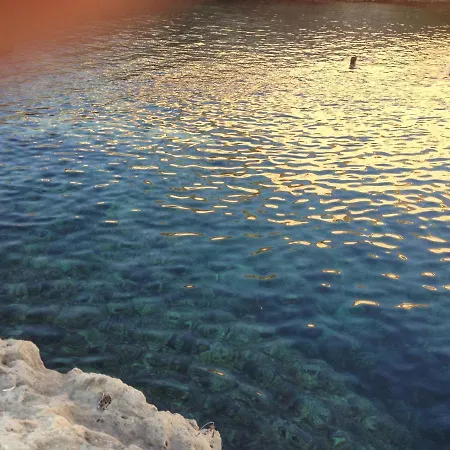 Figoli *